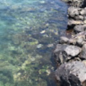 Meet your Posher, Lorilai